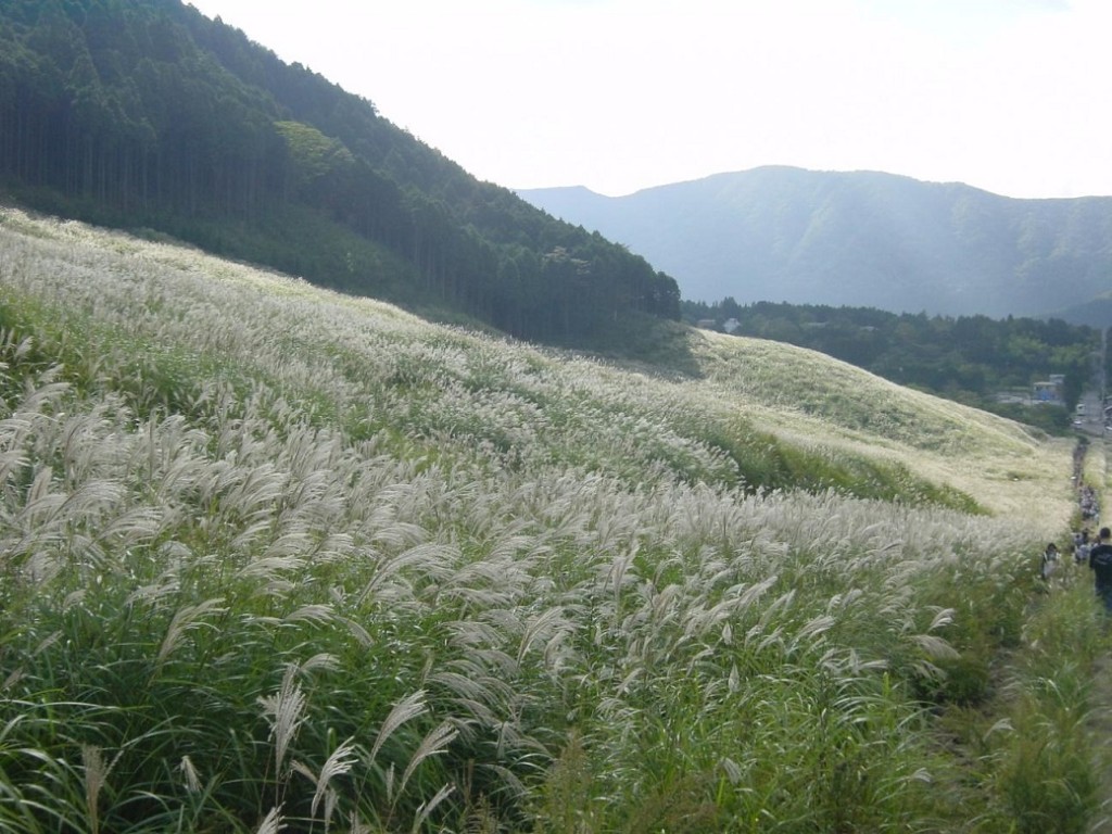 topics-pumps-v-2-28-10-29